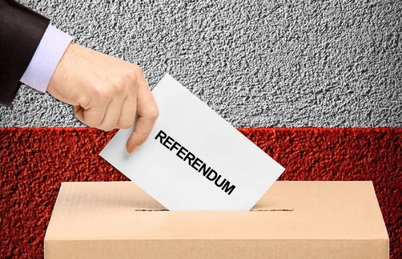 Referendumul pentru modificarea Constituției se apropie. Tot ce trebuie să știi EXCLUSIV
