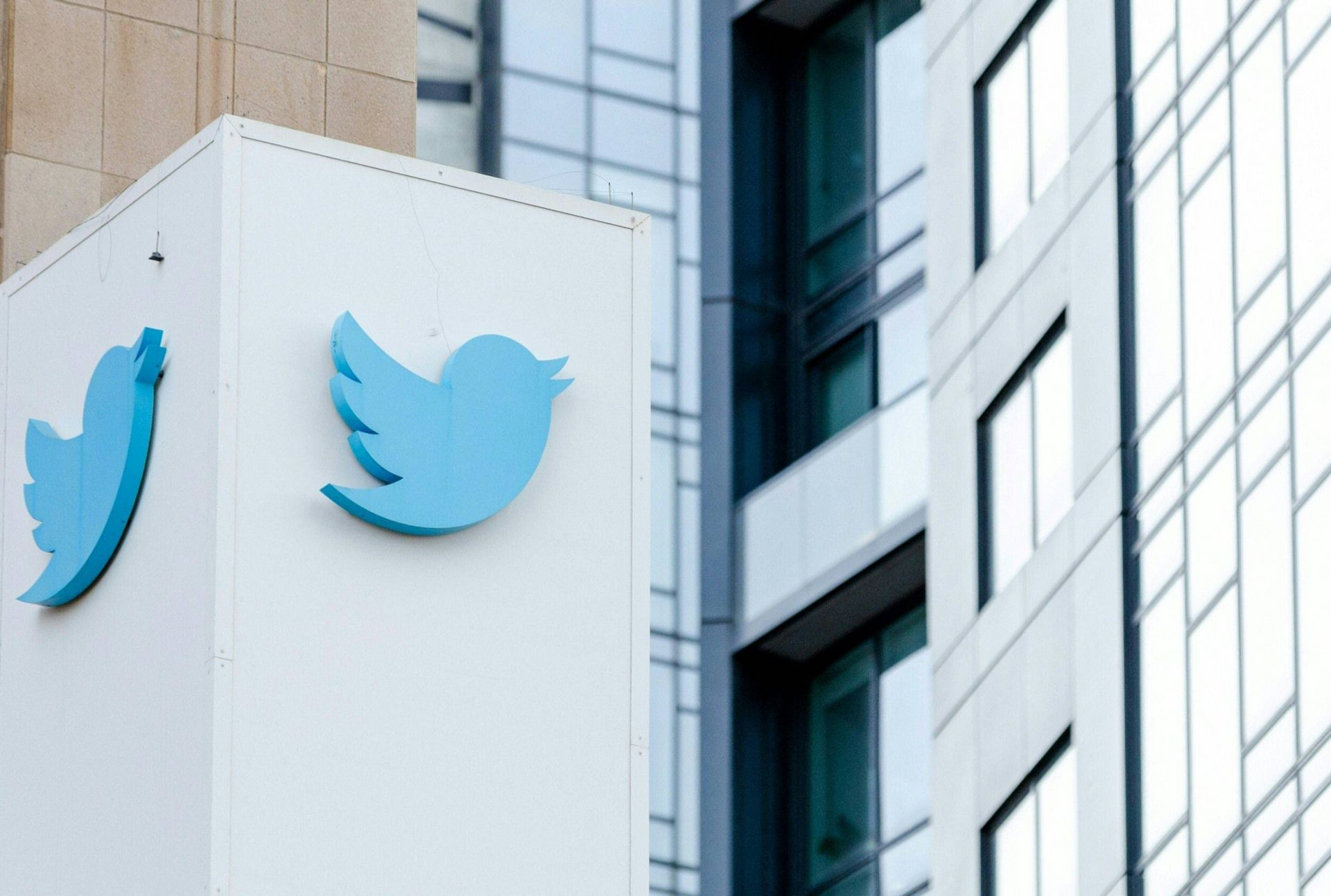 Twitter a desființat Consiliul de încredere și siguranță, cu puțin timp înaintea unei ședințe
